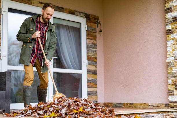 Basement Cleanout Services in Chardon, OH